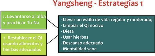 yangsheng