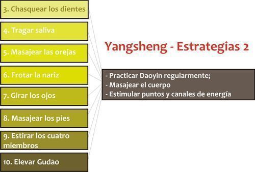 yangsheng