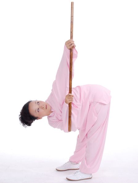 Taiji Yangsheng Zhang