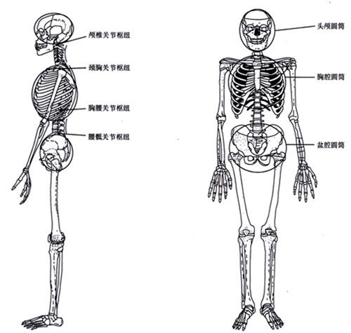 taiji yangsheng zhang