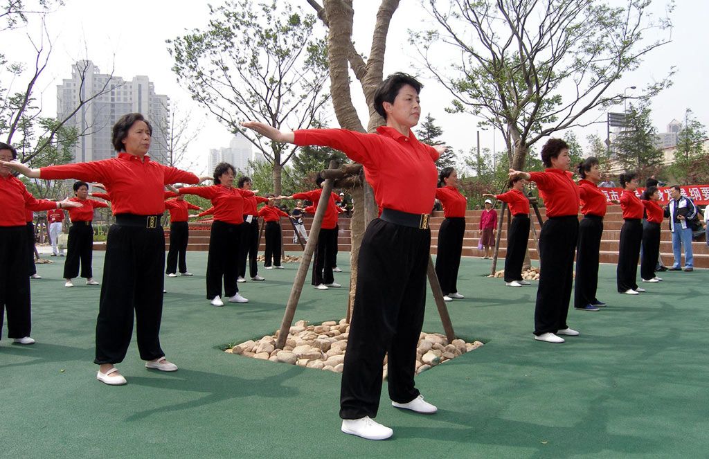 Lian Gong Shi Ba Fa
