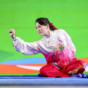 qigong salud 300