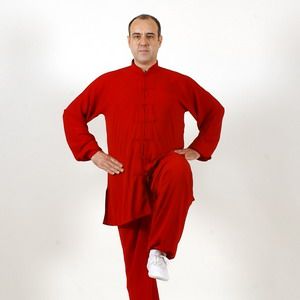 Hou Shi Ba Fa