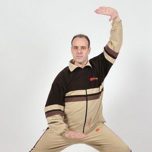 Xu Ji Yi Qigong