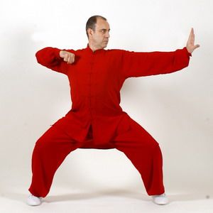 Hou Shi Ba Fa