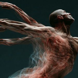 daoyin y qigong 300