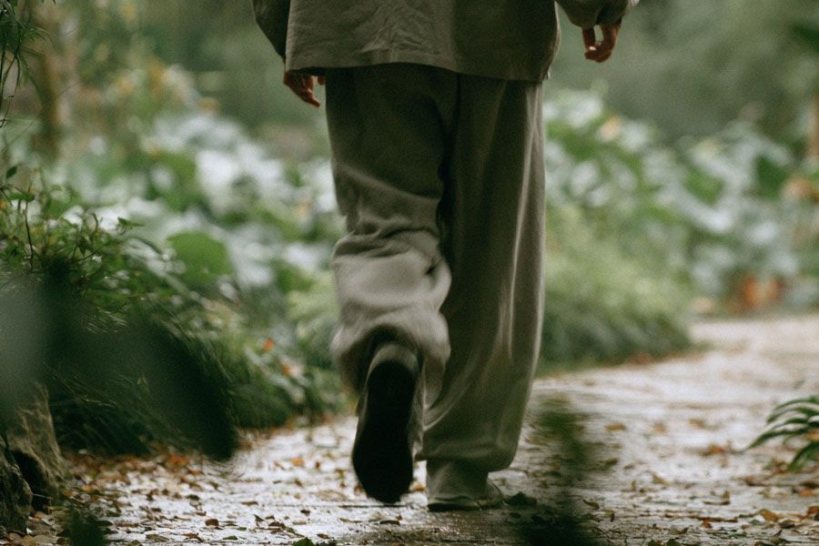 qigong caminar qigong caminar